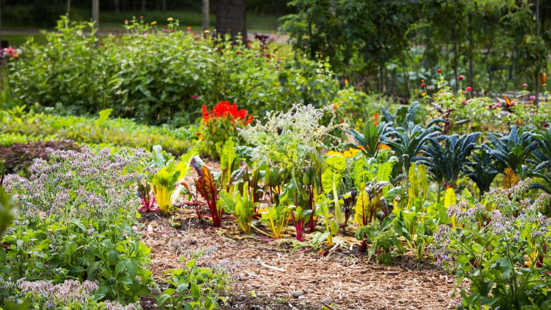 The Lodge at Woodloch offers health-conscious cuisine.
