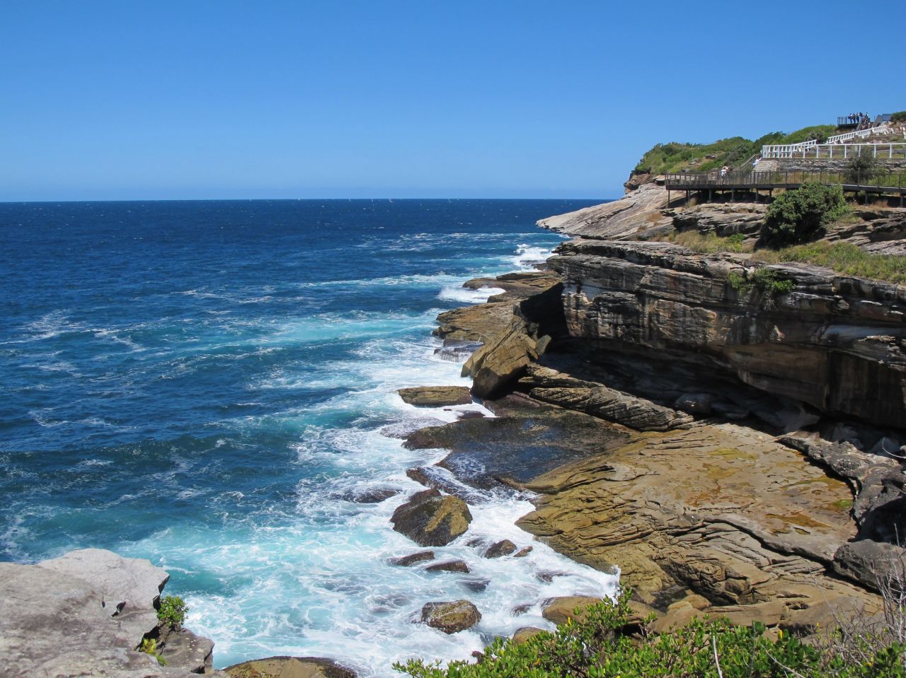 A cliff view between Bronte and Clovelly.