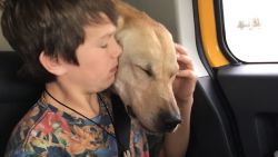 The family of a teenage boy sprayed by a cyanide explosive that killed their dog is outraged they weren't told the device was planted near their home.