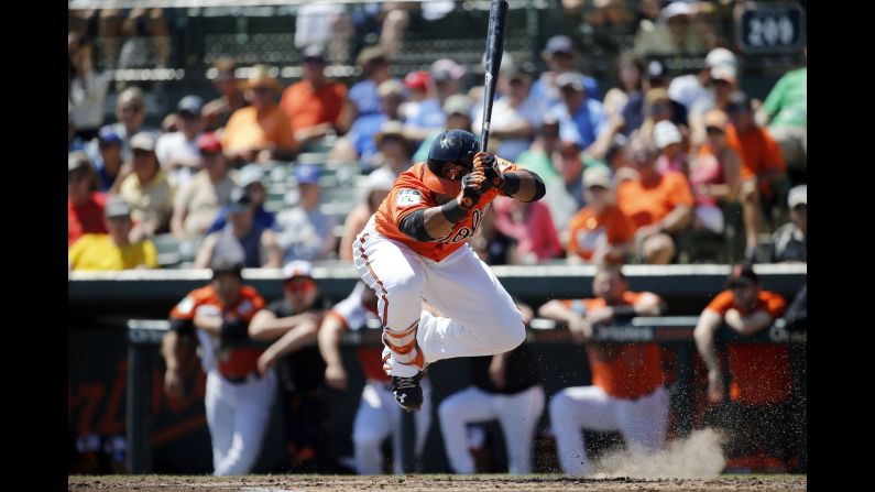 Baltimore Orioles center fielder Aneury Tavarez dodges a pitch while at bat against the Toronto Blue Jays on Tuesday, March 21, in Sarasota, Florida. 