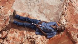 Richard Hunter lies alongside a 1.75 meter (5 foot 9 inch) sauropod track in the Lower Cretaceous Broome Sandstone, Walmadany area, Dampier Peninsula, Western Australia. The sauropod that made these tracks would have been around 5.4 meters (17 feet 9 inches) high at the hips.