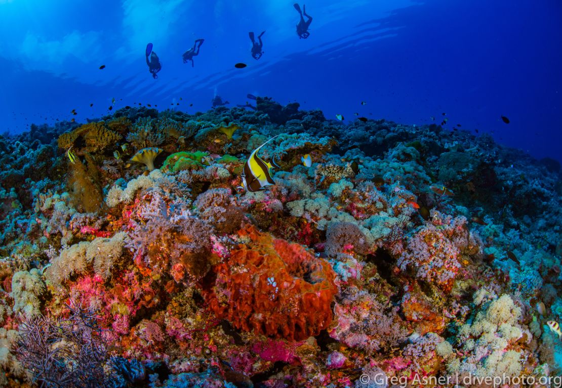 How China’s Military Base Building Is Destroying Coral Reefs In The 