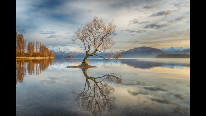 <strong>Wanaka Tree: </strong>Linda Cutche of New Zealand tasked herself with a challenge to frame the famous tree in Lake Wanaka in a unique way. "Although this scene had been photographed by many, I was artistically challenged to take my own version. The idea was to go on an early morning venture and get a good spot before the sun rose, capturing the glory of an amazing sunrise showering the tree in a golden light."<br />Copyright: © Linda Cutche, New Zealand, 3rd Place, National Awards, 2017 Sony World Photography Awards