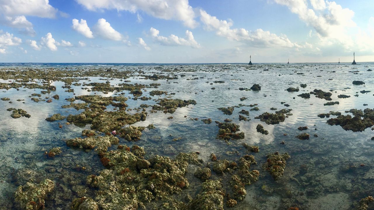 Swallow Reef drops off more than 3,000 meters (10,000 feet) into deep ocean.