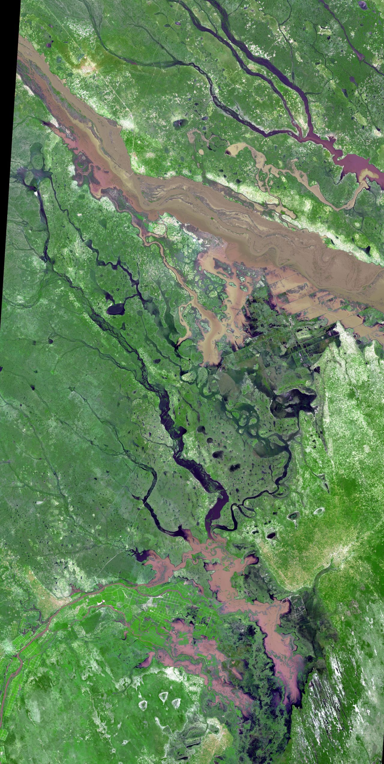 The swollen Limpopo River was captured by the NASA Terra spacecraft as it flew over South Africa and Zimbabwe in 2013. 