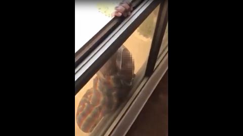 A Kuwaiti woman filmed her domestic worker hanging out of a window pleading for help.