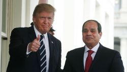 WASHINGTON, DC - APRIL 03: U.S. President Donald Trump welcomes Egyptian President Abdel Fattah Al Sisi during his arrival at the West Wing of the White House on April 3, 2017 in Washington, DC. President Trump and President Al Sisi are scheduled to participate in an expanded bilateral meeting. (Photo by Mark Wilson/Getty Images)