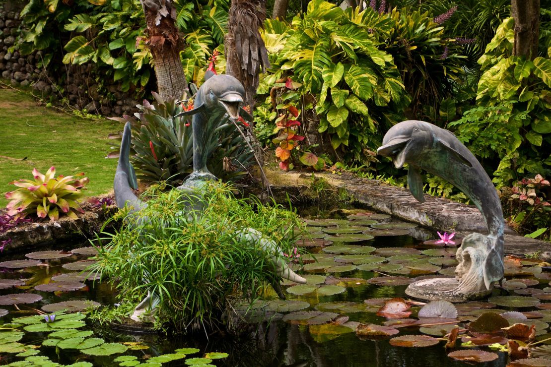 Tropical plants and sculpture intermingle in the Botanical Gardens of Nevis.