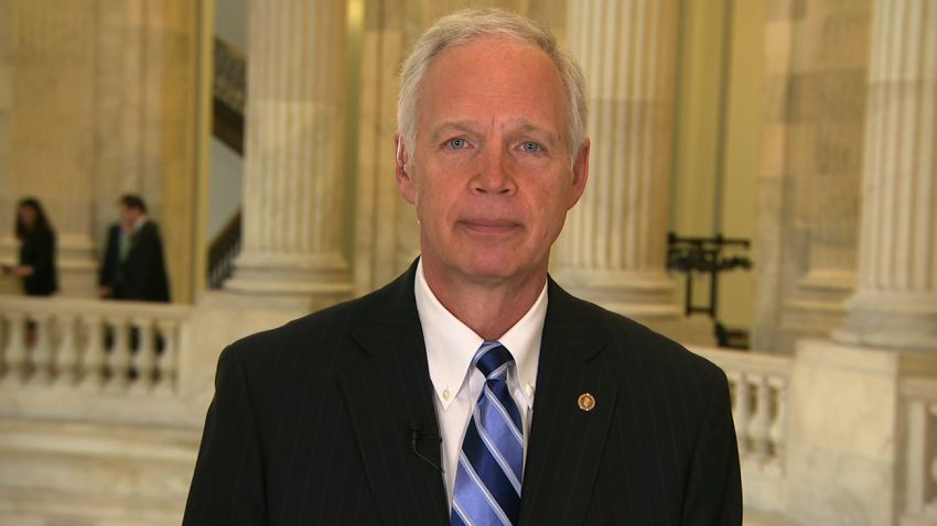 ron johnson border wall metaphor