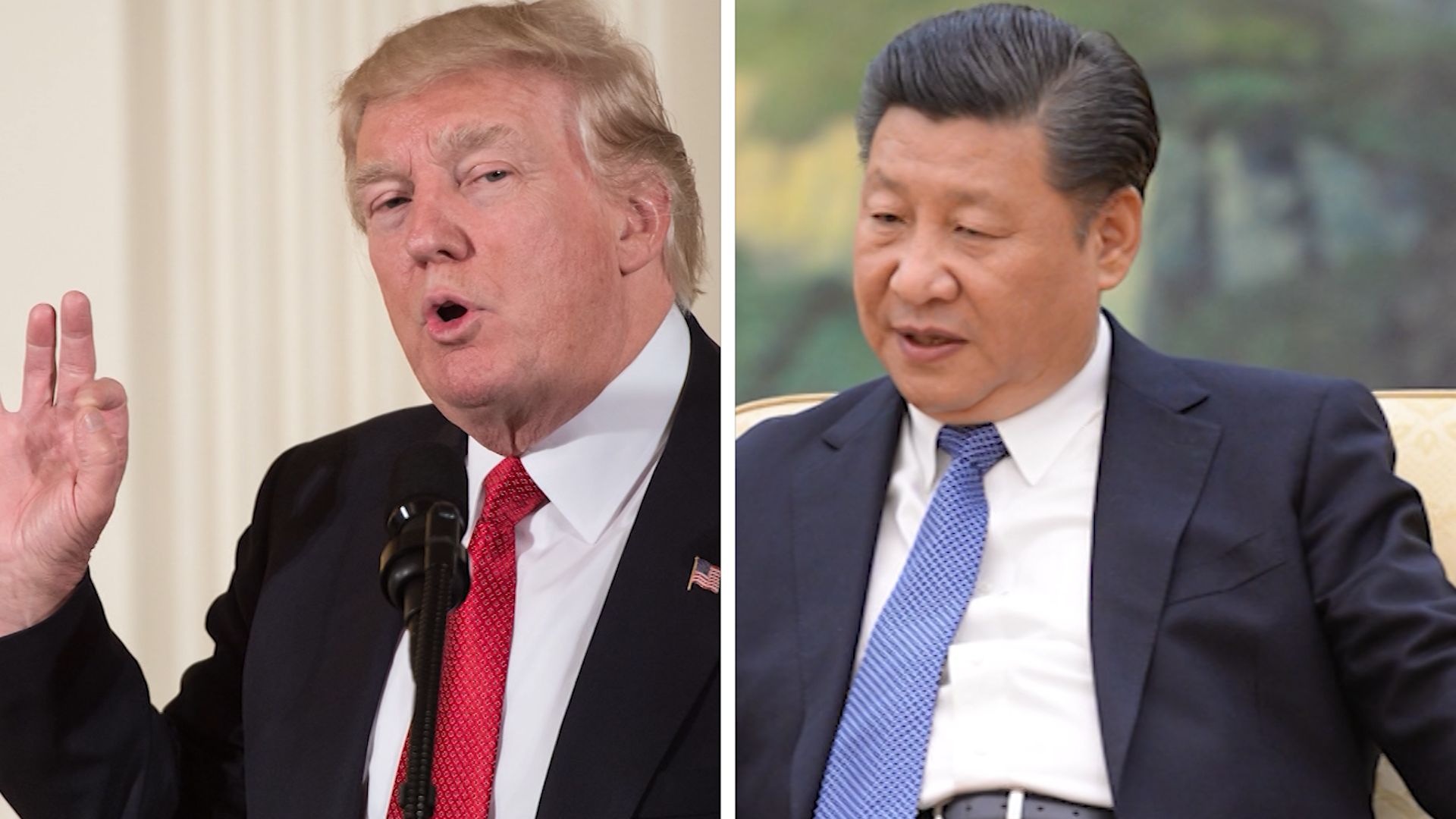 Trump Xi Talked Syria Strike Over Beautiful Chocolate Cake