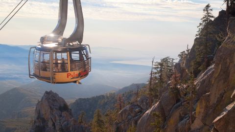 Go from sun to snow in less than an hour courtesy the Palm Springs Aerial Tramway.