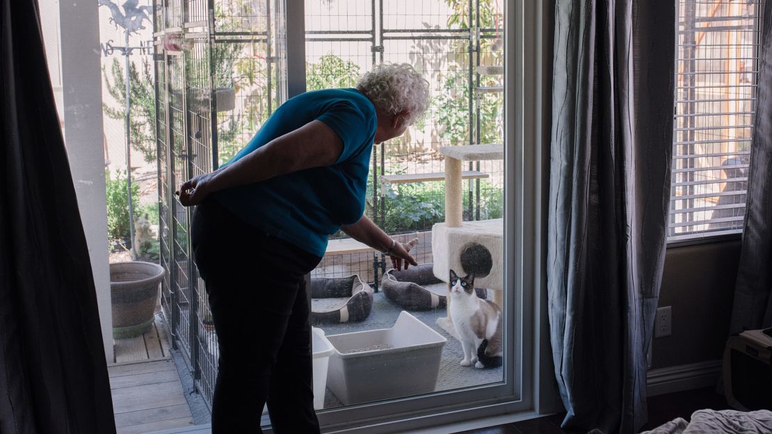 Sheppard, with her cat Sebastian, said her right leg "swelled up enormously," to the astonishment of her doctor.