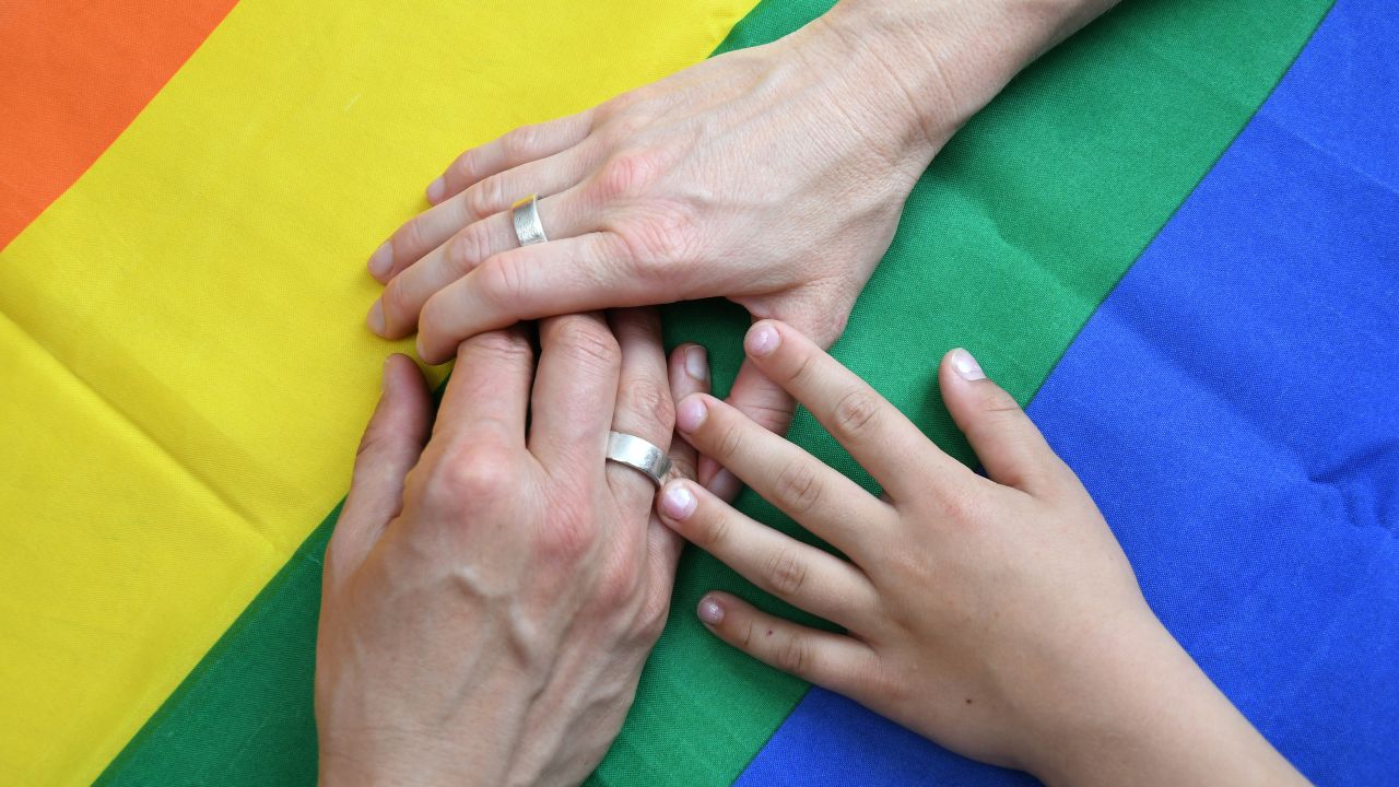 lesbian couple and childs hands ILLUSTRATION