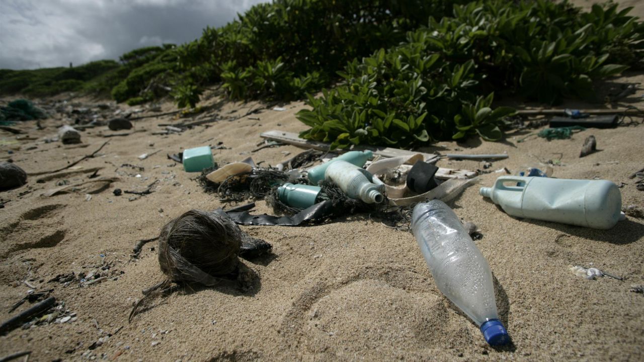 Plastic litter on Kahuku beach, Hawaii