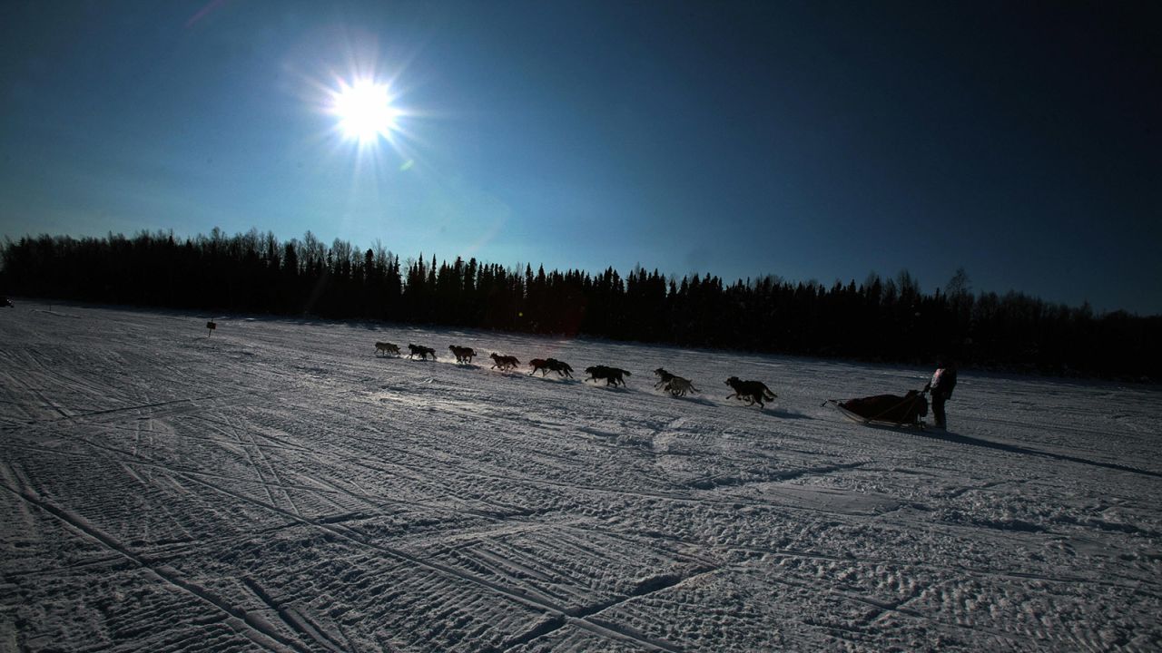 Mushers race through 1,000 miles of beautiful Alaskan landscape in the annual Iditarod Sled Dog Race.