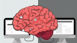 brain programming