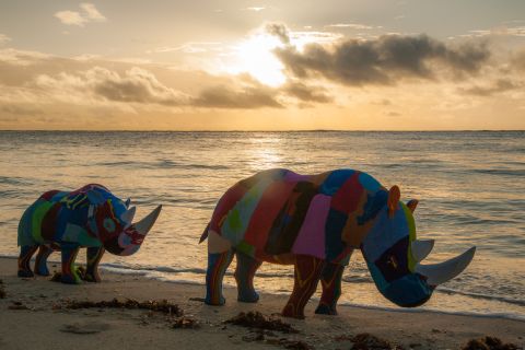 "Our founder Julie Church back in the 90s discovered an entire beach ... was just covered in flip flops," Erin Smith, of Ocean Sole, says. "What she saw were not just dead fish that had been trying to eat in their natural habitat, but turtles unable to come up on to land and actually hatch." <br />The sculptures depict animals to draw attention to the human effect on their habitat.