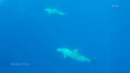 Inside Africa ocean b_00042329.jpg