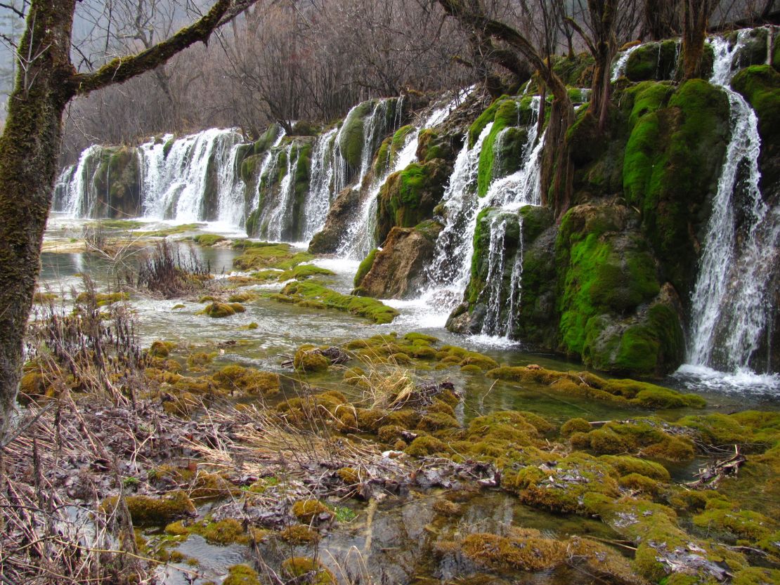 All the colors of nature in one park.
