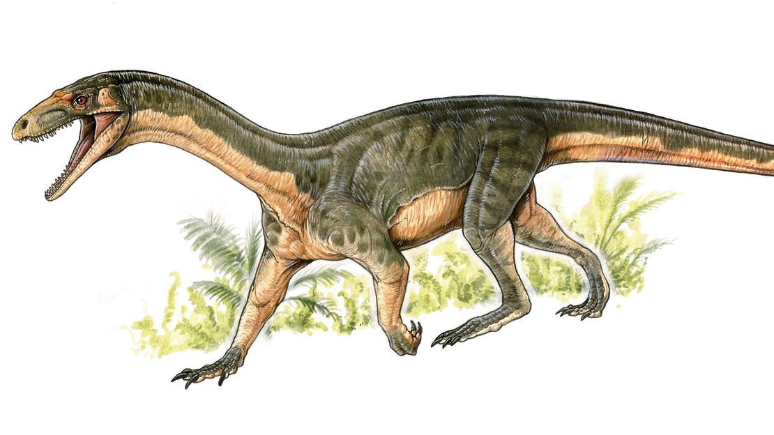 Another look at the teleocrater, which had both bird- and crocodile-like characteristics.