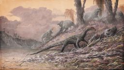 02 dinosaur early crocodile