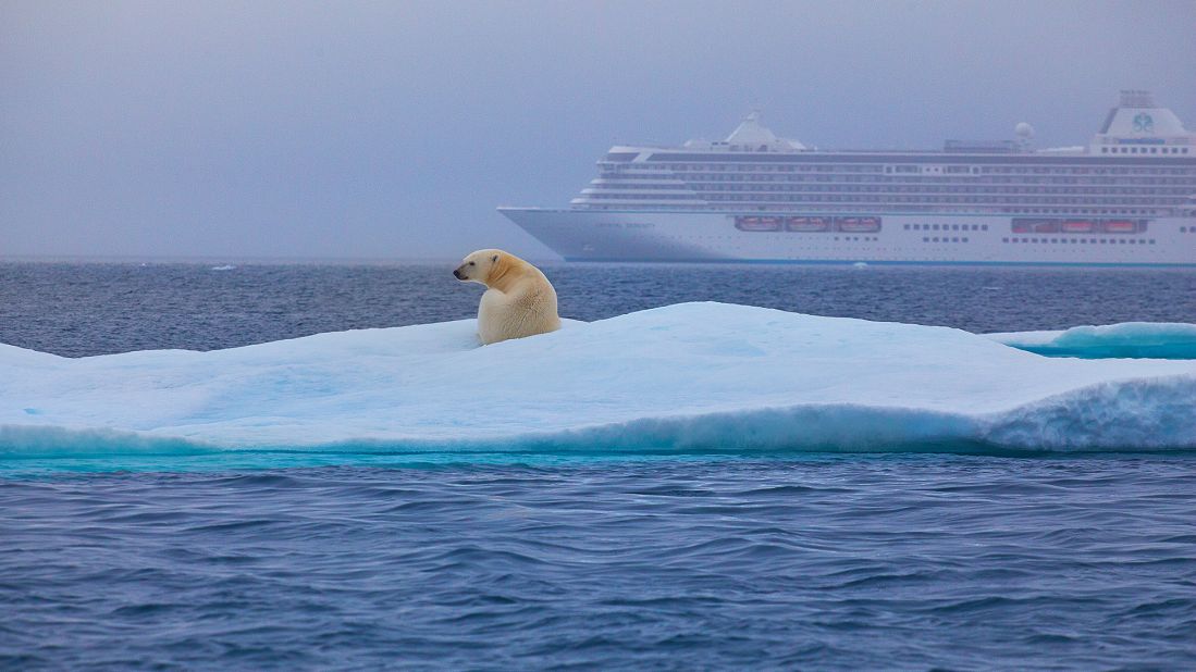 <strong>Crystal Cruises:</strong> For the best views of wildlife, switch from the ship to a Zodiac boat or helicopter.