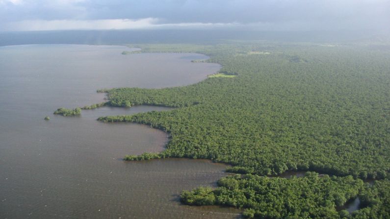 <strong>Rio Platano Biosphere, Honduras</strong>. The largest intact rainforest in Central America is also home to many impoverished communities, whose people fish and hunt illegally and clear trees for subsistence farming. The Rio Plátano Biosphere was named a World Heritage Site in 1982 and named to the list "in danger" in 2011.