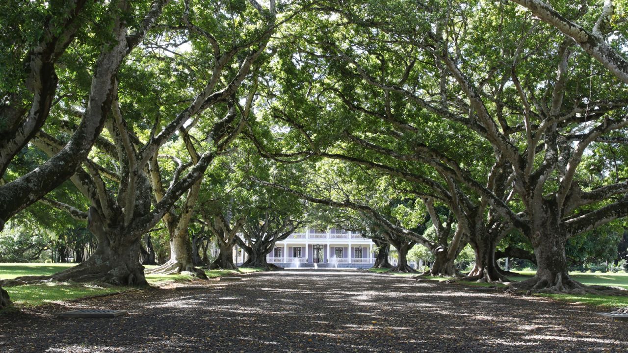 <strong>Labourdonnais Orchards: </strong>This grand plantation home was painstakingly restored in 2006. There's now a museum exploring Mauritian landowners' way of life and a restaurant serving delicious meals.