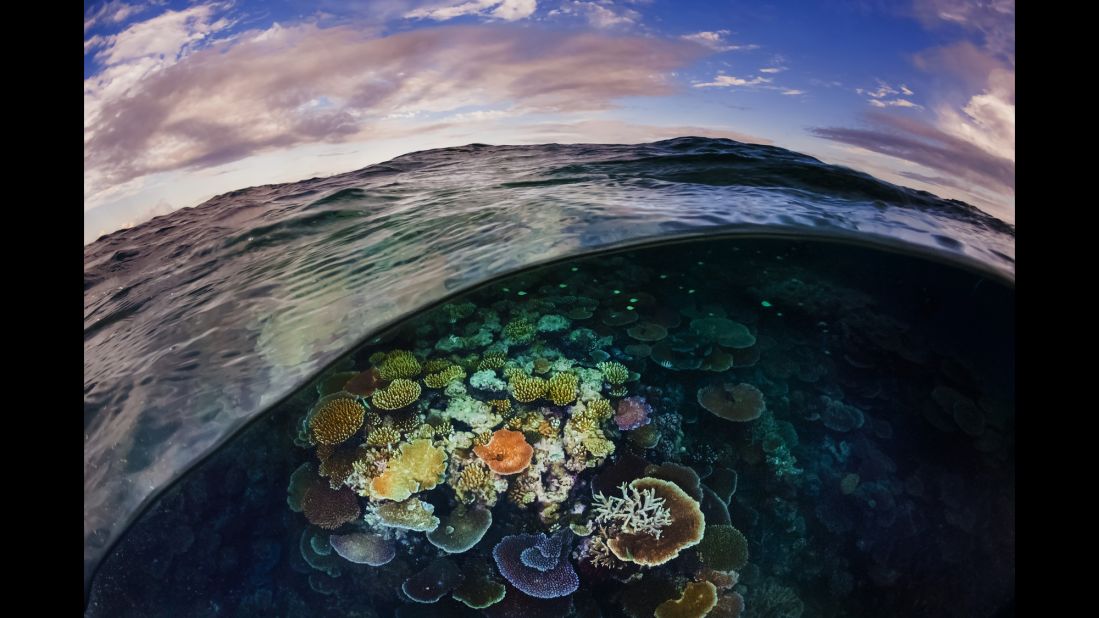 A wave reveals a secret coral garden located on the central Great Barrier Reef  near Port Douglas, Queensland. 