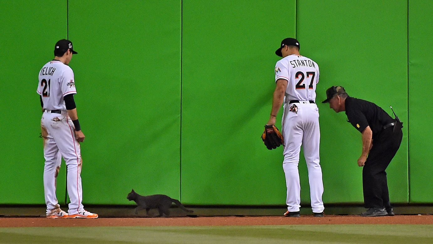 Miami left fielder Christian Yelich and right fielder Giancarlo Stanton watch as a security guard attempts to remove a cat from the field during a Major League Baseball home game against Atlanta on Tuesday, April 11. Miami won 8-4.