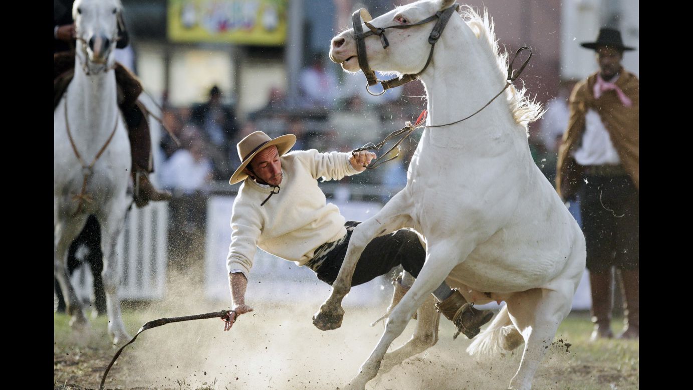A South American cowboy, known as a gaucho, is thrown off a wild horse during the Criolla del Prado rodeo in Montevideo, Uruguay, on Wednesday, April 12. During Creole week, the city of Montevideo organizes the event to reward the best horse riders.