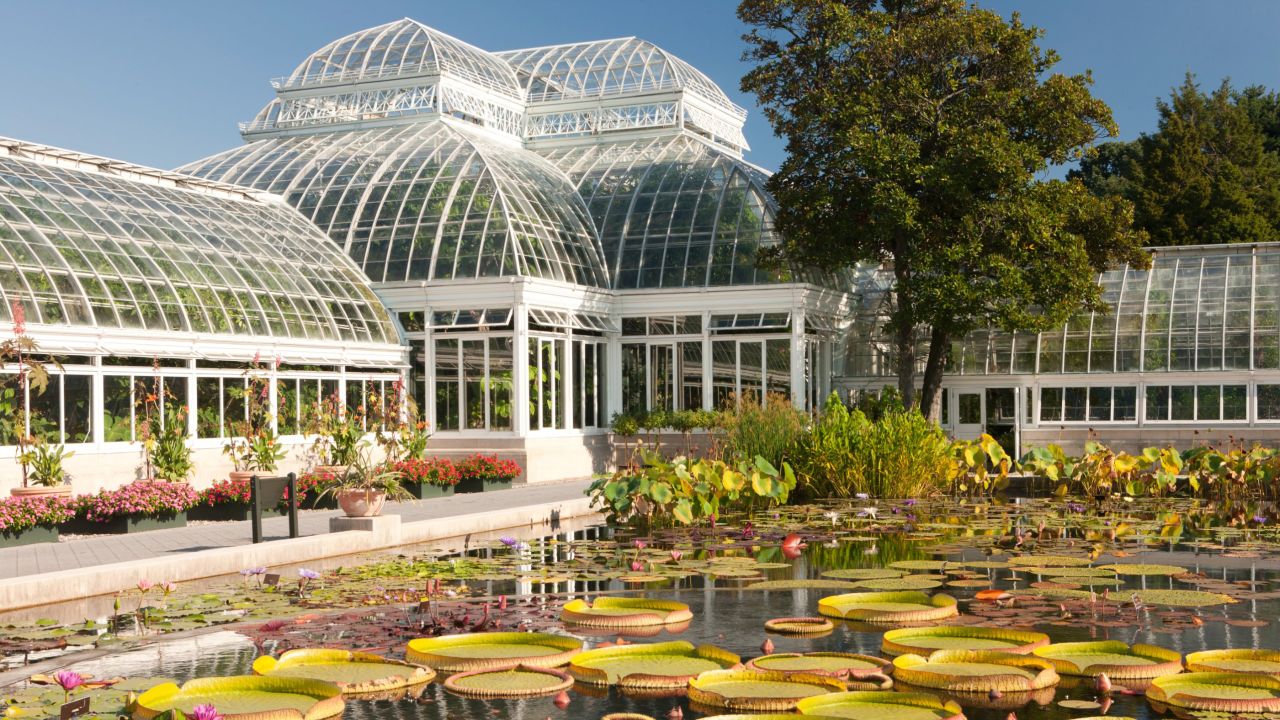 <strong>New York Botanical Garden:</strong> Up in the Bronx, this botanical garden also has glass houses that will take you to tropical weather even in coldest winter. 