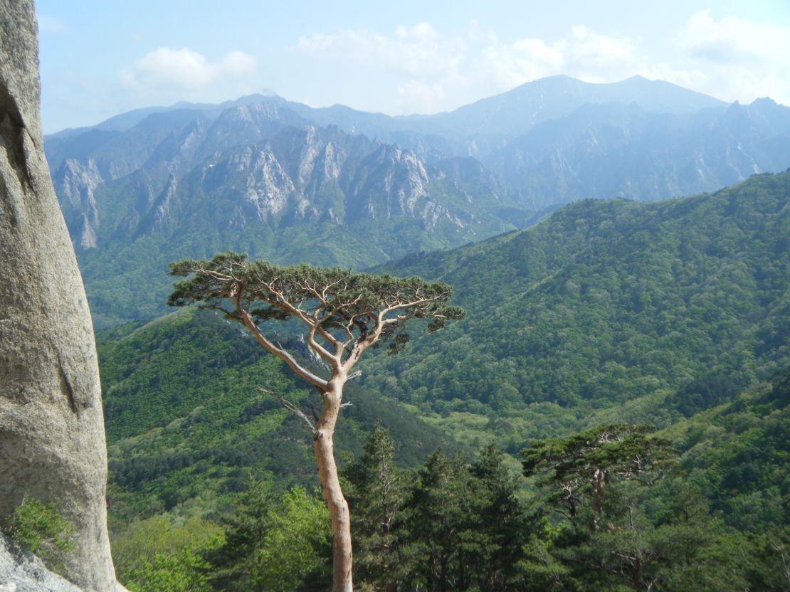 Seoraksan is not South Korea's tallest or prettiest mountain, but it is nonetheless one of the most beloved.