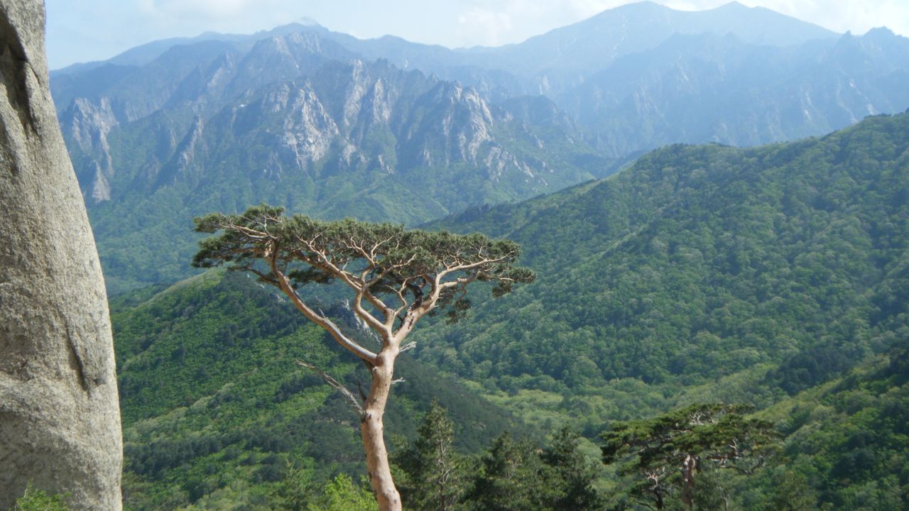 Seoraksan is not South Korea's tallest or prettiest mountain, but it is nonetheless one of the most beloved.