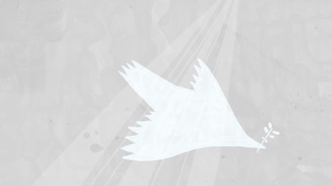 Colorscope_white_dove
