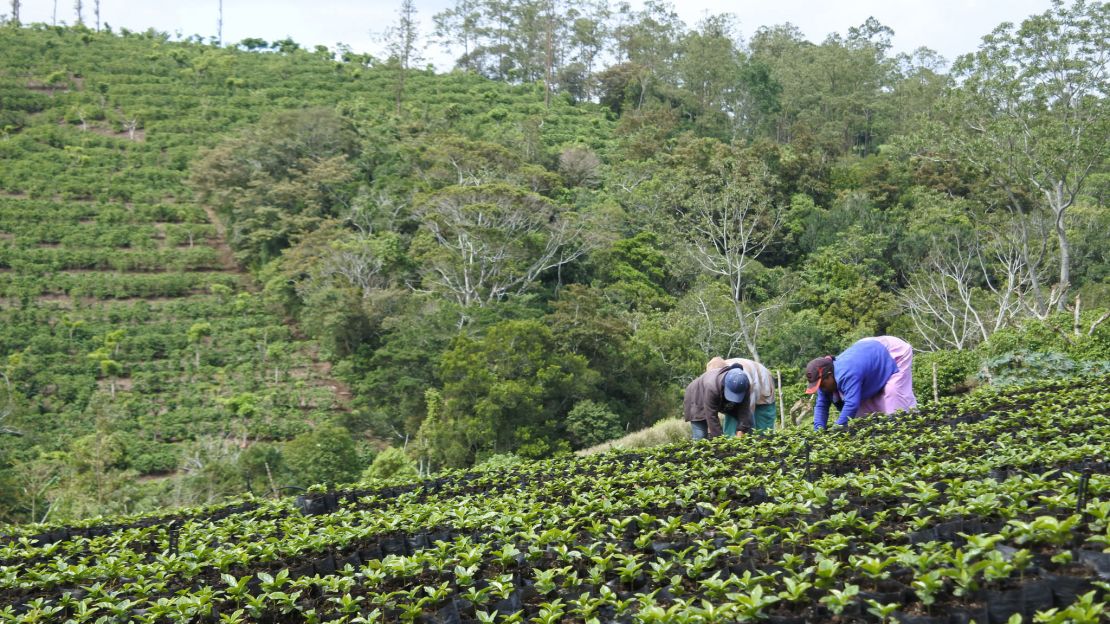 Butler visited Panama's coffee farms to learn more about sourcing. 