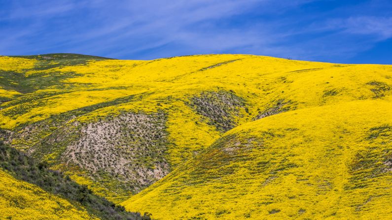 <strong>San Luis Obispo, United States:</strong> The Golden State has been even more golden this spring, as areas throughout California (like this valley on the eastern border of San Luis Obispo) are covered in a wildflower "superbloom."