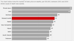 prison suicides by state card