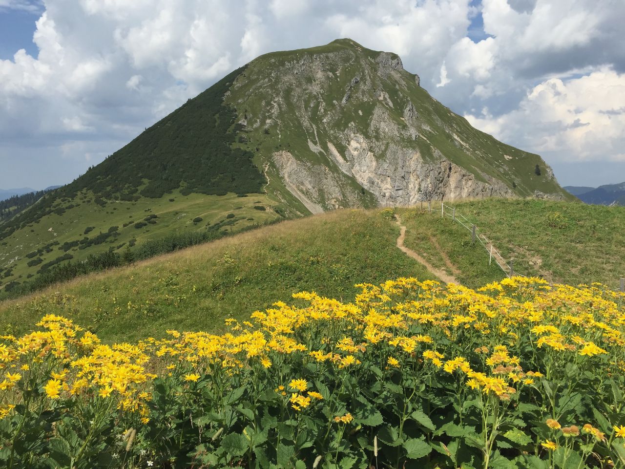 The Alps aren't just great in winter, in summer they are equally stunning.