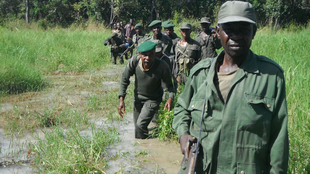 Zebra numbers are on the rise at Upemba National Park, thanks to Katembo and his local rangers.