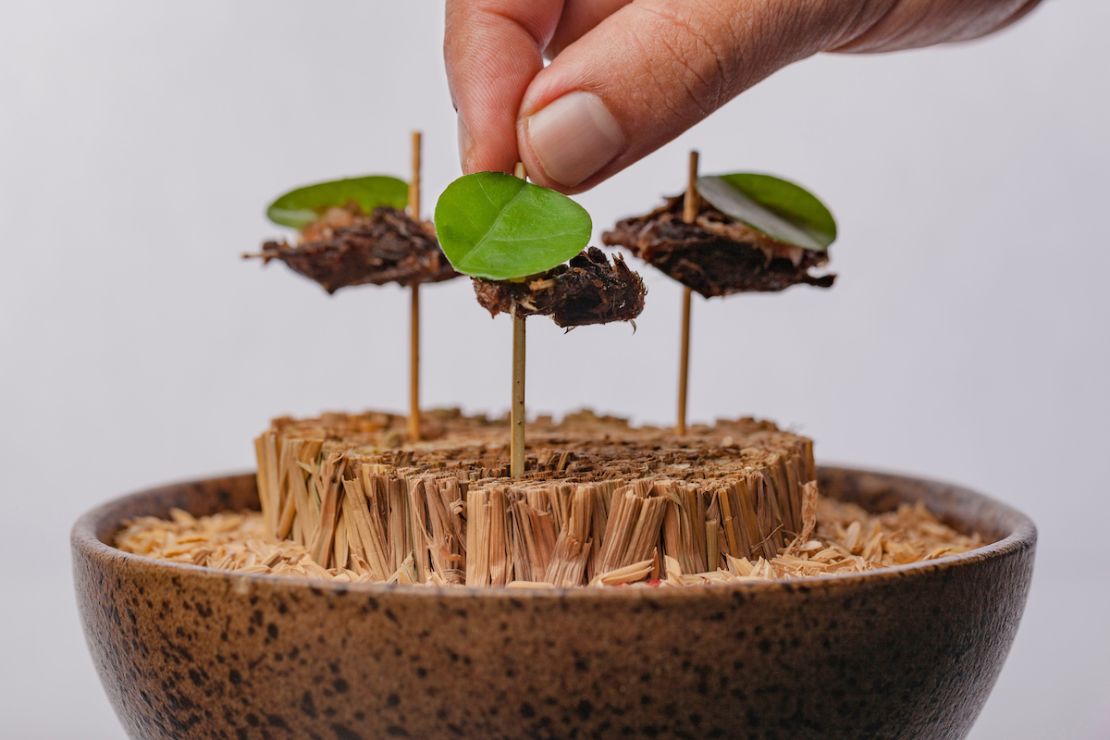 One of Bali's best restaurants, Locavore crafts its dishes from locally sourced ingredients.