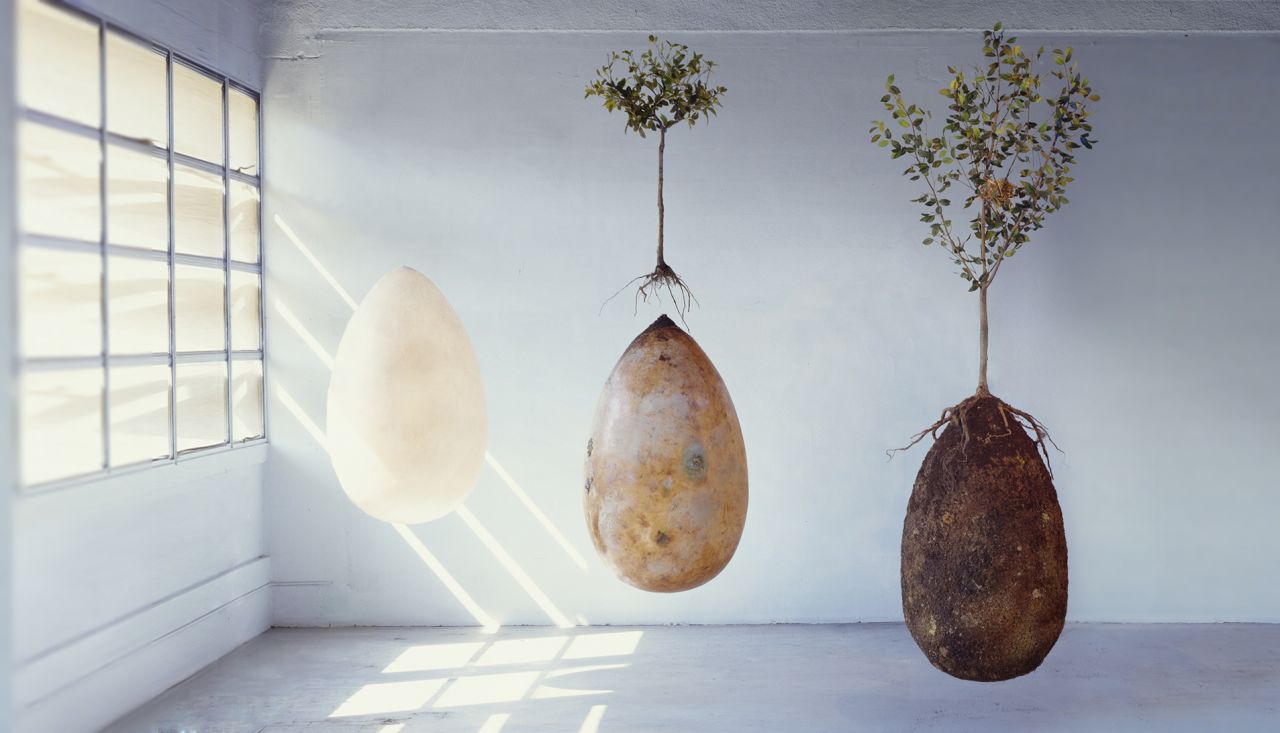 The Capsula Mundi burial pod by Italian designers Raoul Bretzel and Anna Citelli is a bioplastic capsule designed to break down once planted in the ground, providing nutrients for the sapling planted above it.