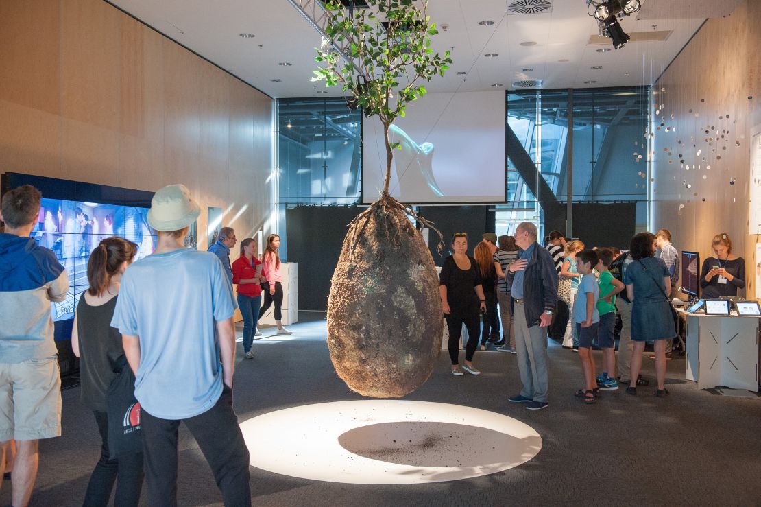 Capsula Mundi at the science festival Festiwal Przemiany in Warsaw, Poland, in 2016.