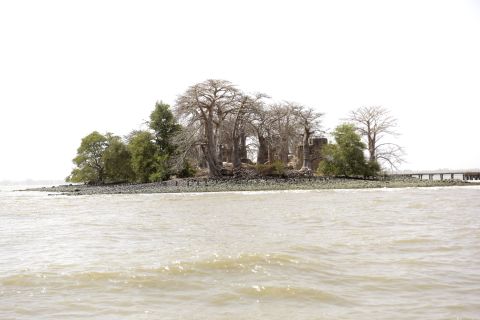 The name was changed to Kunteh Kinteh Island in 2011 in tribute to its most famous son, who inspired the popular novel 'Roots' and the TV series of the same name. <br /><br />The island is one of Gambia's most popular tourist attractions, and hosts part of <a href="http://rootsgambia.gm/" target="_blank" target="_blank">'The International Roots Festival</a>.' <br />