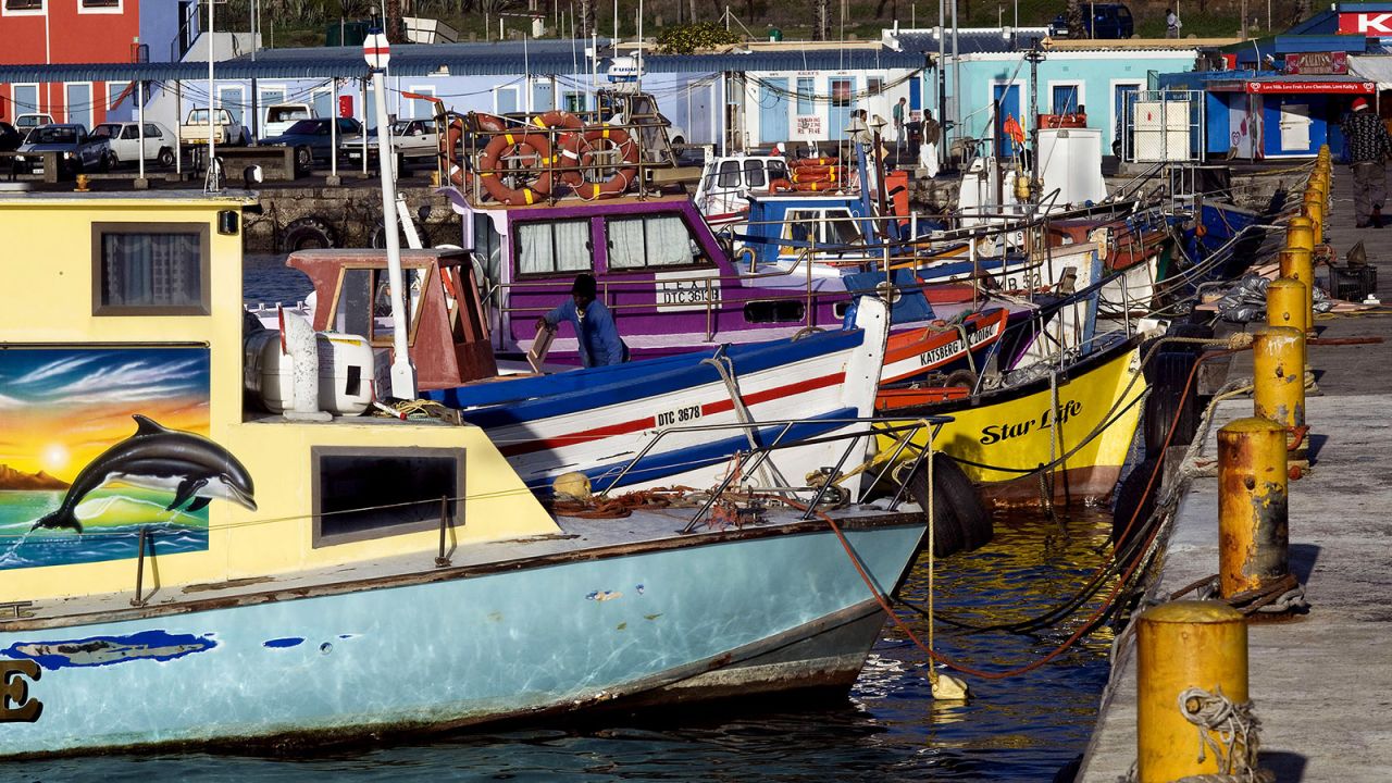 Kalk Bay is a small fishing community on the shore of False Bay.