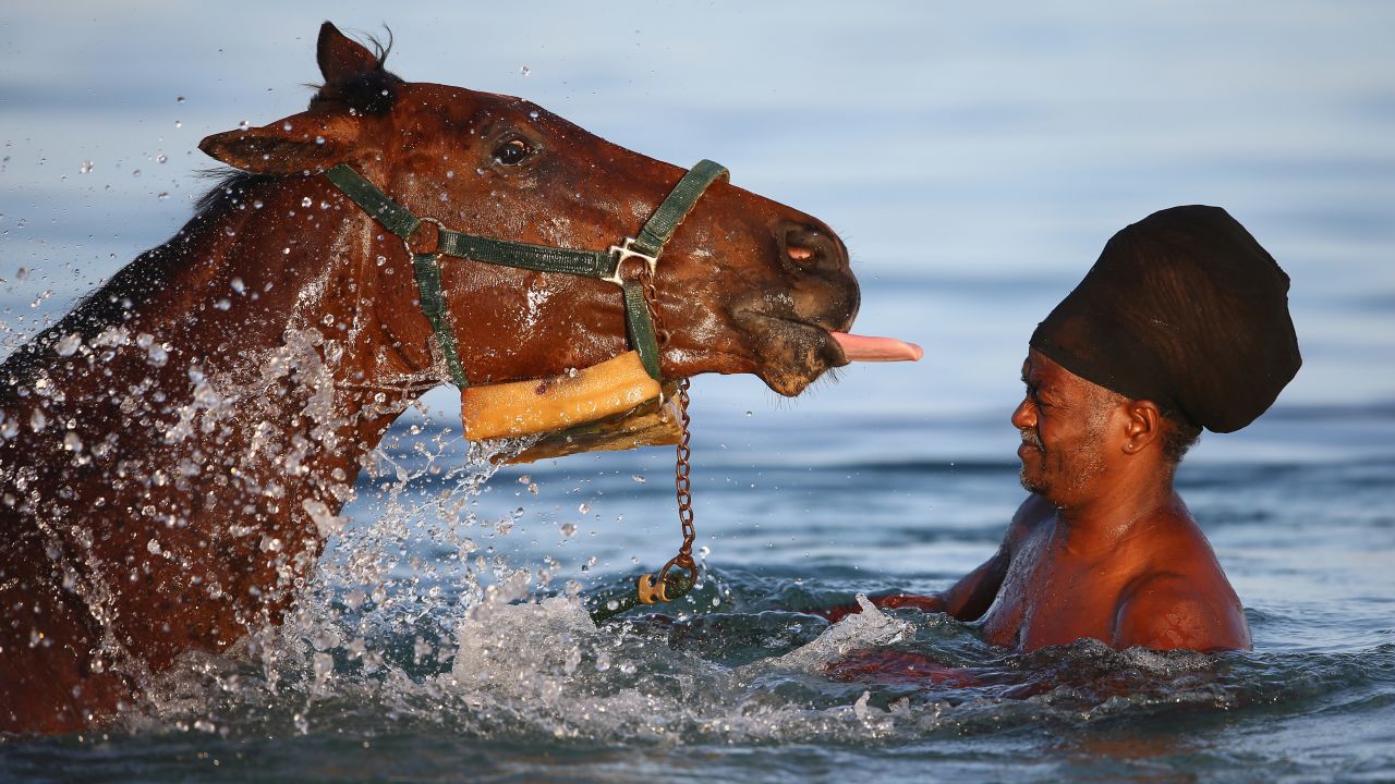 BRIDGETOWN, BARBADOS - MAY 02:  Race horses stabled at the nearby Garrison course are taken by grooms to the sea for aerobic exercise and recovery for foot weary and sore muscles.Trainers consider the aerobic exercise a break from trackwork and monotony of being confined to the stables and vital in the horses fitness preparation on May 2, 2015 in Bridgetown, Barbados.  (Photo by Michael Steele/Getty Images)