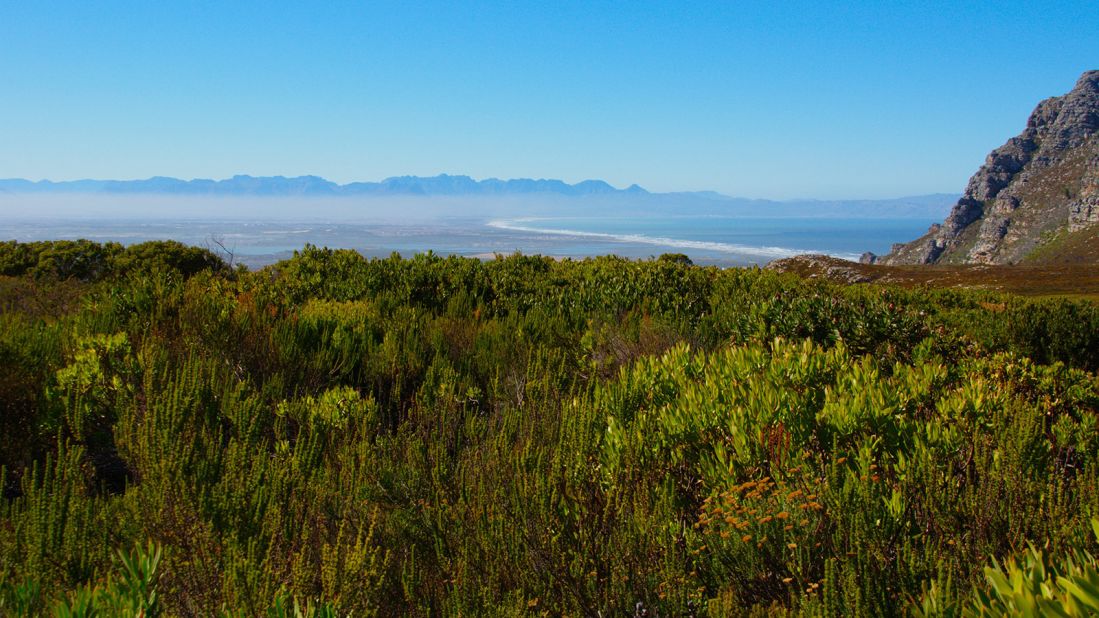<strong>Silvermine Nature Reserve, Cape Town: </strong>Part of the Table Mountain National Park, Silvermine Nature Reserve is a favorite backyard garden for residents of Cape Town. It's famous for its indigenous fynbos species and boasts plenty of picnic and braai spots. (PAUL SCOTT/Flickr/CC by SA 2.0)