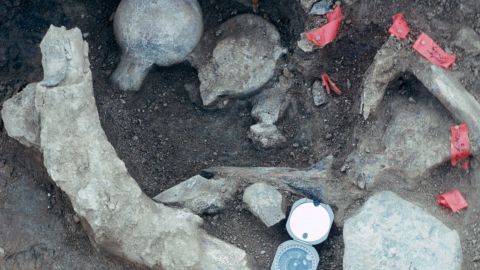 Broken bone fragments show evidence that humans were around much earlier than previously thought.