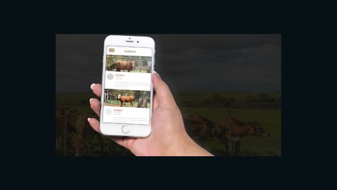 Investors can track their cows using the Livestock Wealth app.