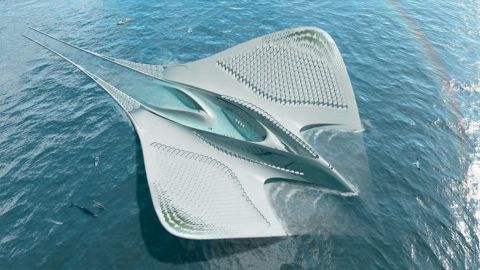 Seasteads 3D-printed on the ocean will not resemble skyscrapers rooted in bedrock. The City of Meriens follows the form and function of a manta ray. © Jacques Rougerie Architecte, France.